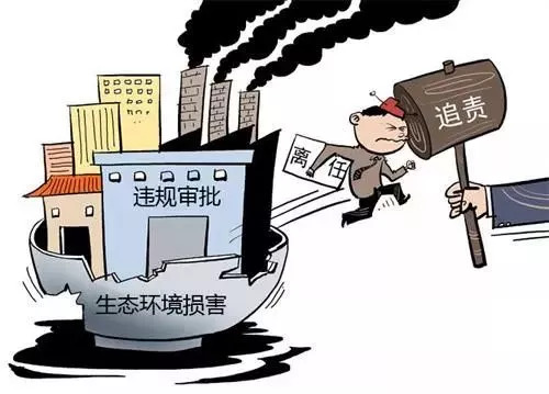 柯冉回国首秀和远离误导的言辞,全面释义、解释与落实