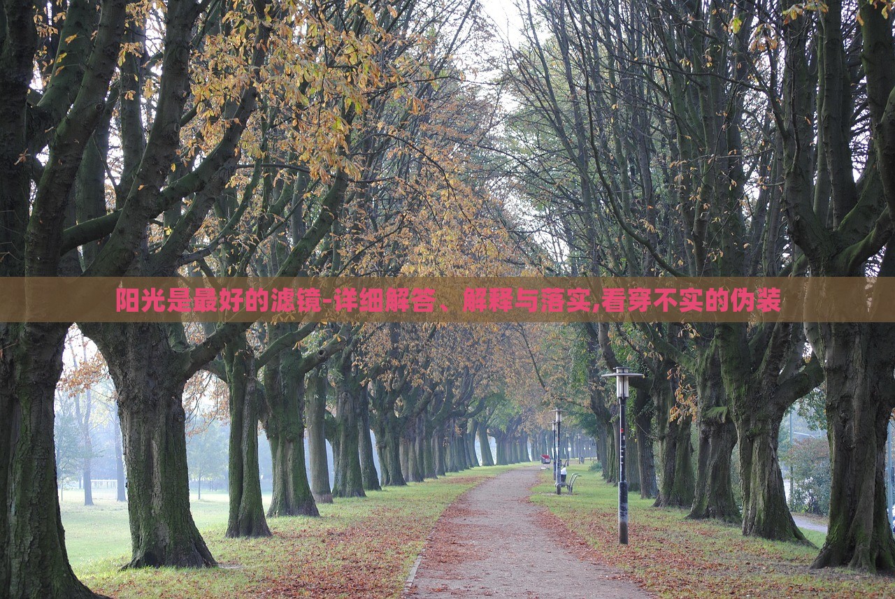 陽(yáng)光是最好的濾鏡-詳細(xì)解答、解釋與落實(shí),看穿不實(shí)的偽裝
