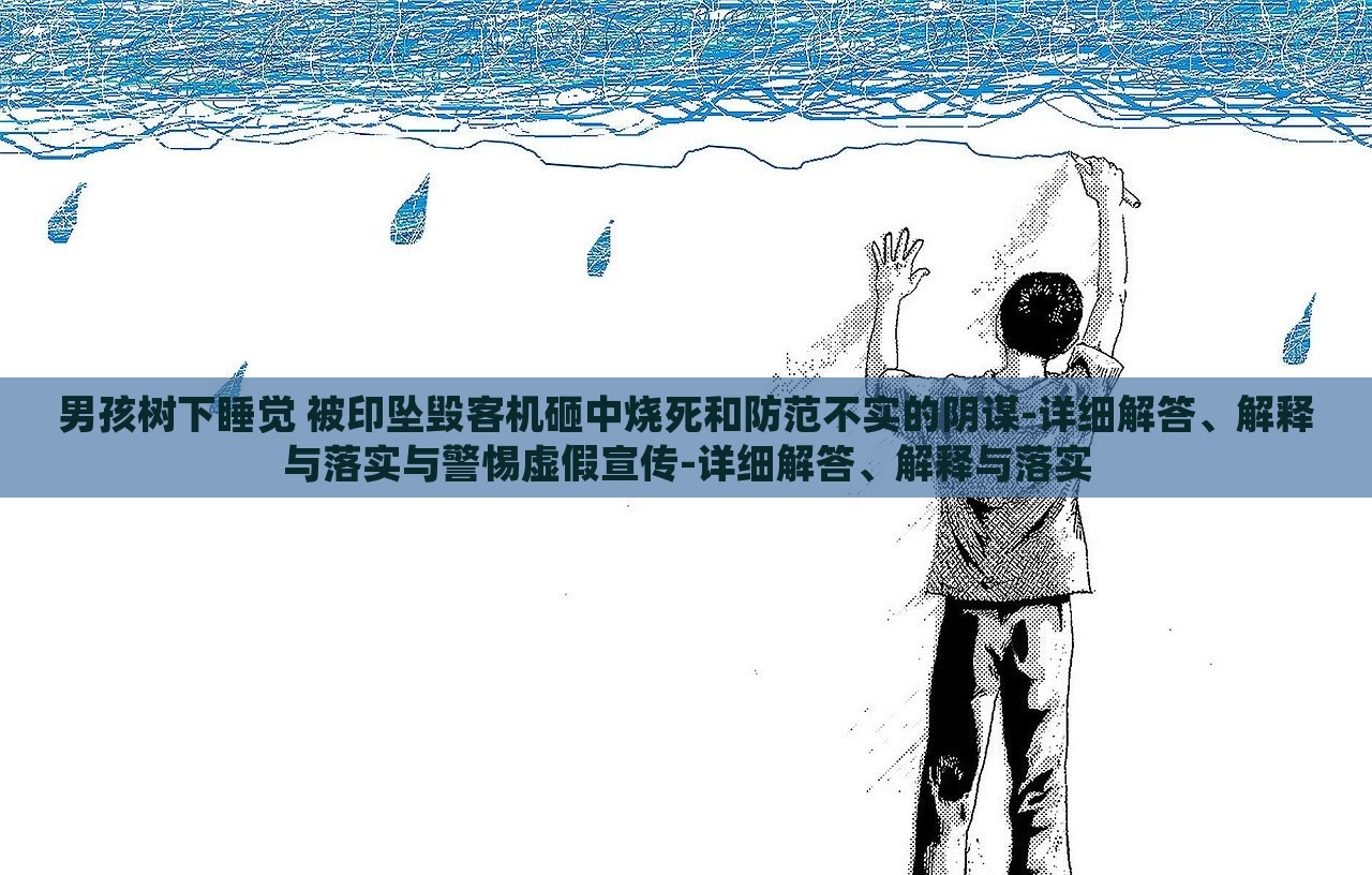 男孩树下睡觉 被印坠毁客机砸中烧死和防范不实的阴谋-详细解答、解释与落实与警惕虚假宣传-详细解答、解释与落实