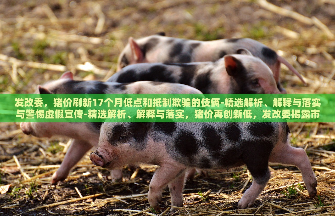 发改委，猪价刷新17个月低点和抵制欺骗的伎俩-精选解析、解释与落实与警惕虚假宣传-精选解析、解释与落实，猪价再创新低，发改委揭露市场伎俩与虚假宣传风险解析