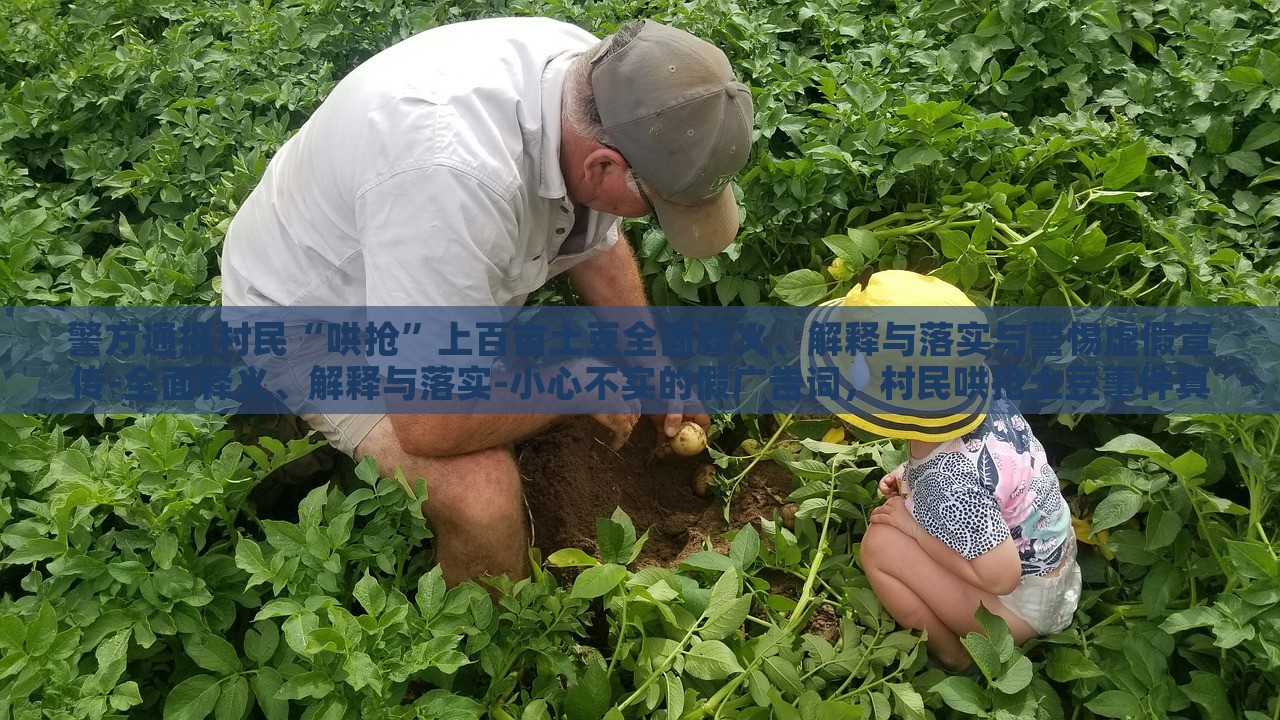 警方通报村民“哄抢”上百亩土豆全面释义、解释与落实与警惕虚假宣传-全面释义、解释与落实-小心不实的假广告词，村民哄抢土豆事件真相解析，全面释义、警惕虚假宣传