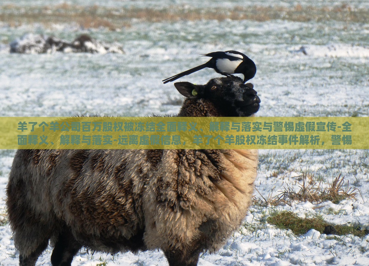 羊了个羊公司百万股权被冻结全面释义、解释与落实与警惕虚假宣传-全面释义、解释与落实-远离虚假信息，羊了个羊股权冻结事件解析，警惕虚假宣传风险