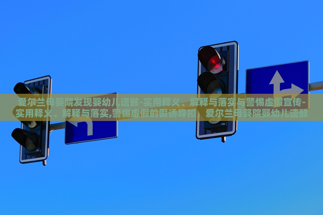 爱尔兰母婴院发现婴幼儿遗骸-实用释义、解释与落实与警惕虚假宣传-实用释义、解释与落实,警惕虚假的假诱导扣，爱尔兰母婴院婴幼儿遗骸事件，真相揭秘与虚假宣传警示