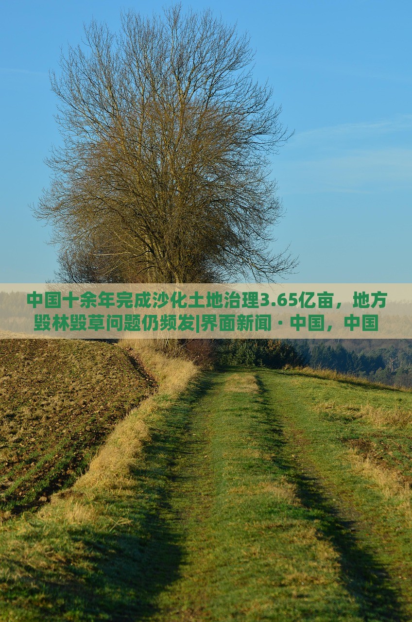 中国十余年完成沙化土地治理3.65亿亩，地方毁林毁草问题仍频发|界面新闻 · 中国，中国沙化土地治理成就显著，地方毁林毁草问题待解