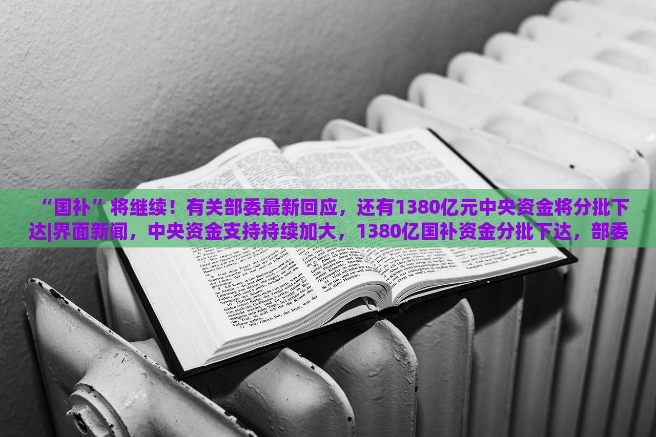 “国补”将继续！有关部委最新回应，还有1380亿元中央资金将分批下达|界面新闻，中央资金支持持续加大，1380亿国补资金分批下达，部委最新回应！